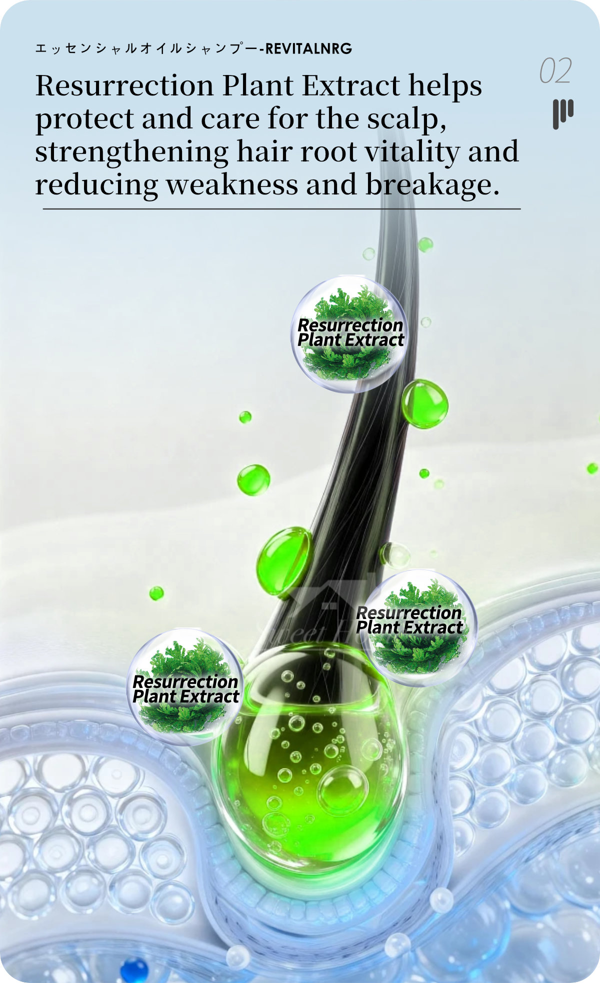 Farcent Essential Oil Shampoo-REVITALNRG-5
